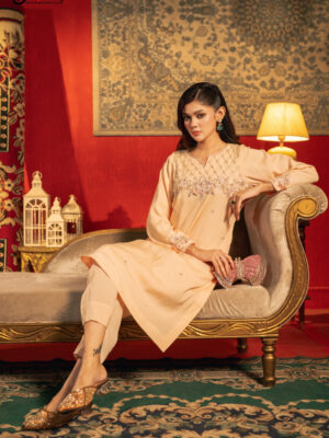 Chandni Hand Crafted Three Piece Ethnic Suit for Women Peach Blush S-XL