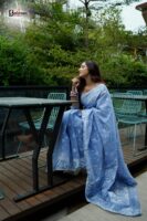 Pastel Blue Silver Zari Jamdani Saree
