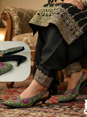 Premium Belt Pump (𝑬𝒎𝒃𝒆𝒓𝒍𝒚𝒏)